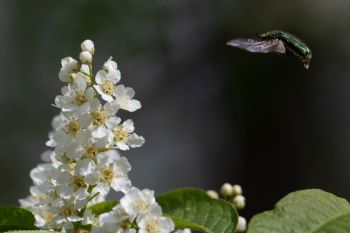 EA347013, Eastpress , Porvoo, Finland